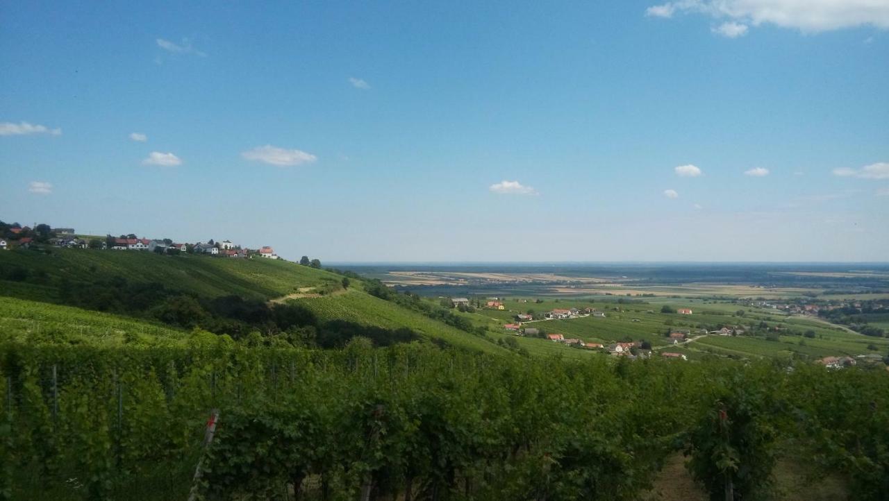 Ferienhaus Szapary II Eisenberg an der Pinka Luaran gambar