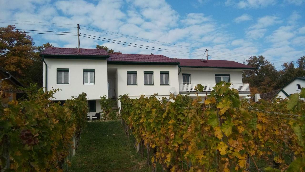 Ferienhaus Szapary II Eisenberg an der Pinka Luaran gambar